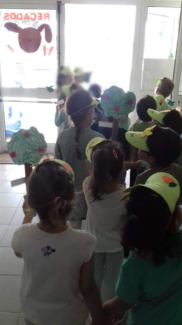 fotos339