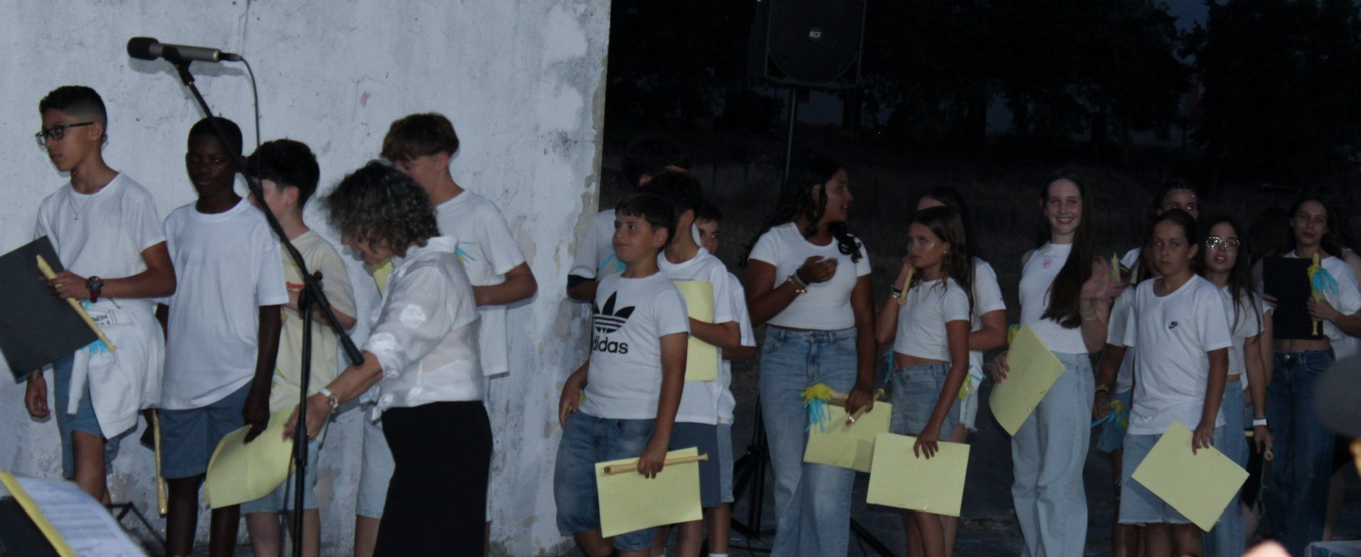 image11 image11
