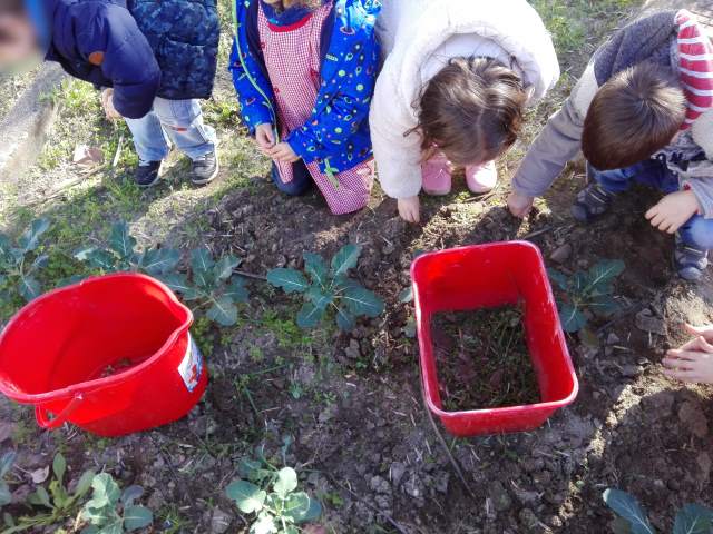 Horta