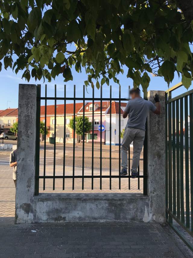 IMG-7036