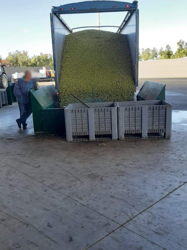 IMG-20191105-WA0026