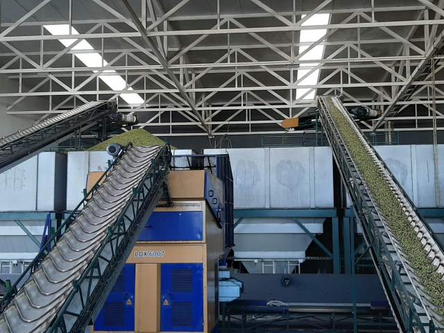 IMG-20191105-WA0052