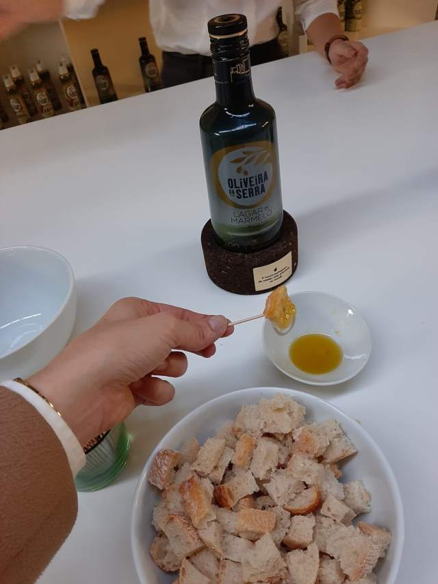 IMG-20191105-WA0076