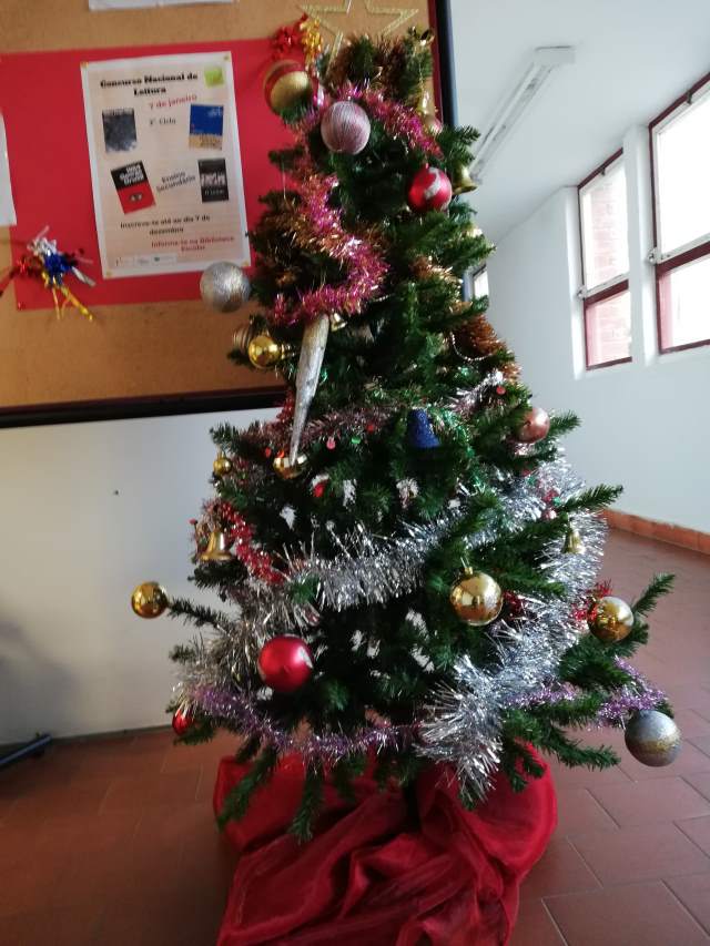 foto2