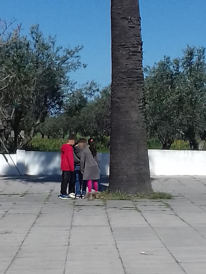 56196763_10214129332815184_4920540479642140672_n