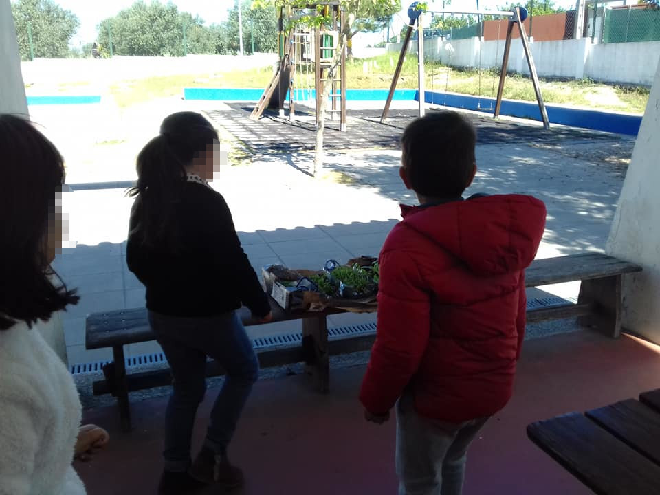 56476741_10214129314614729_677786688742752256_n