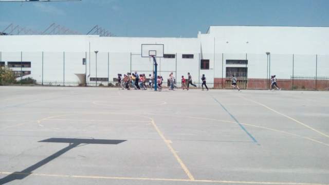 AmarTona3