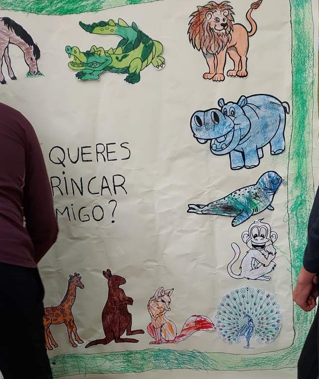 imagem9