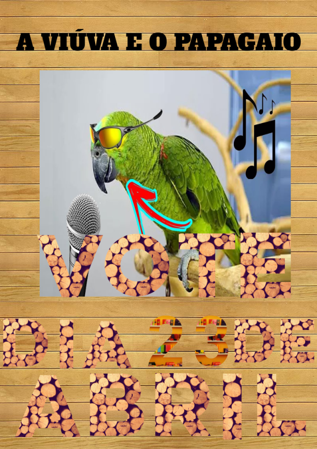cartaz10